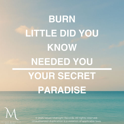 Aaron & Aria- Paradise (Vinyl Edition)